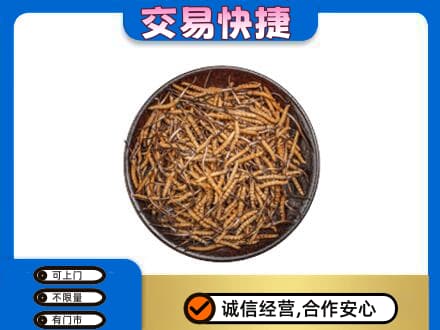 烟台海阳市回收散虫草